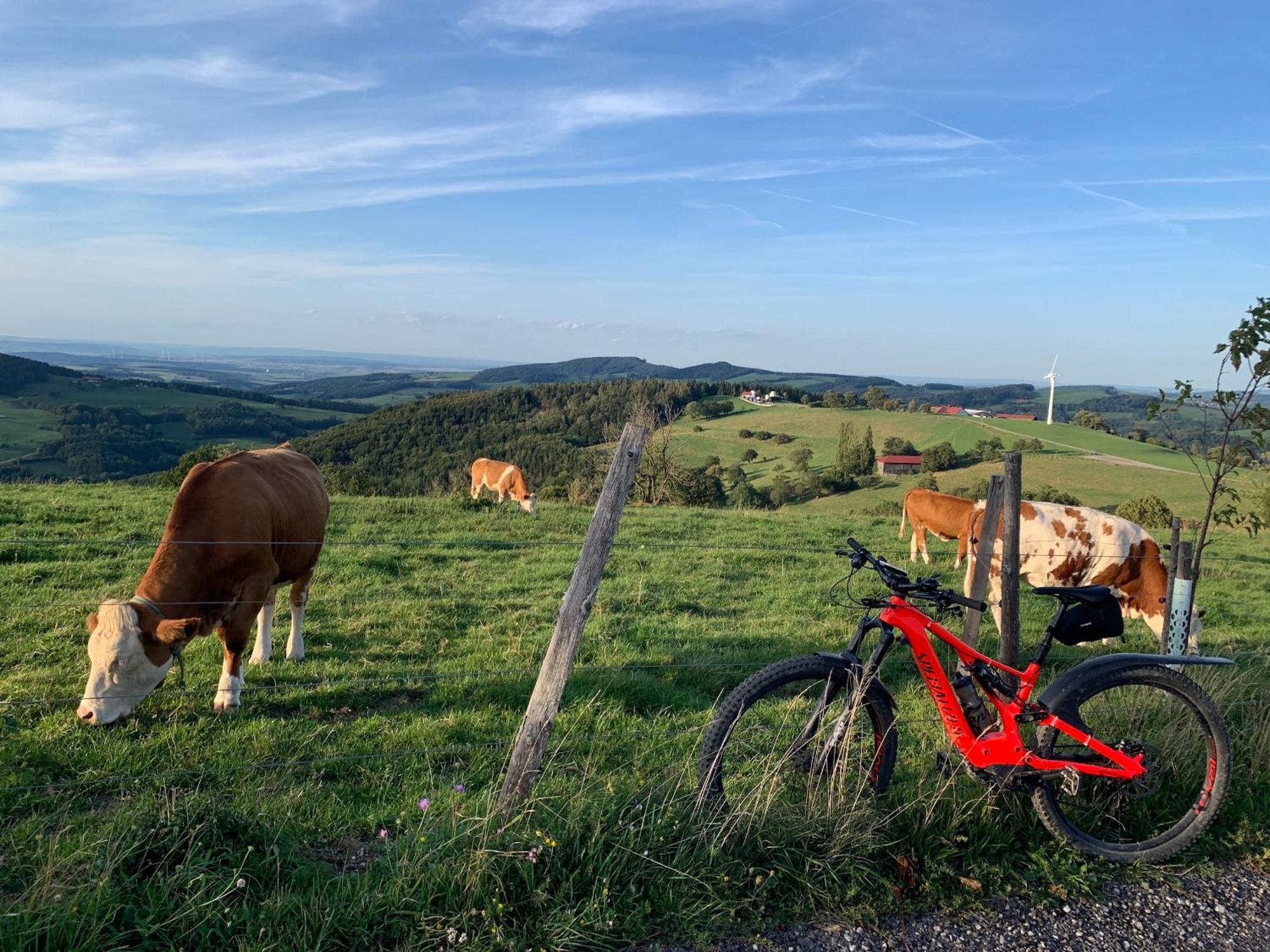 Landgasthof Zur Linde Laaben Εξωτερικό φωτογραφία