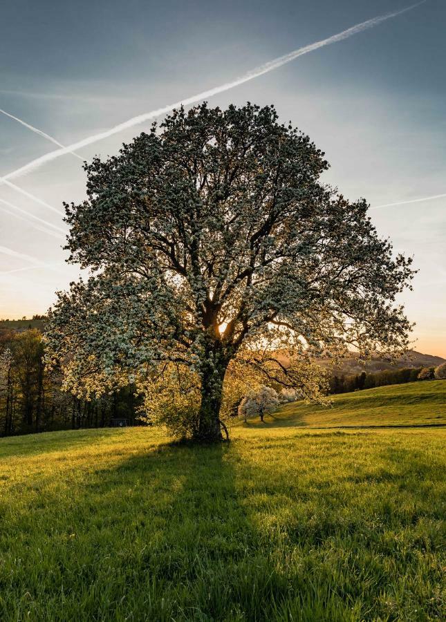 Landgasthof Zur Linde Laaben Ξενοδοχείο Εξωτερικό φωτογραφία